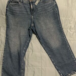 Lane Bryant boyfriend mid rise Jeans